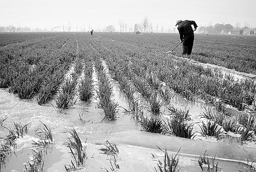 3月25日，濮陽縣郎中鄉(xiāng)大趙寨村農(nóng)民在為小麥澆水。連日來，濮陽縣廣大農(nóng)民不誤農(nóng)時(shí)，及時(shí)為麥田施肥、澆