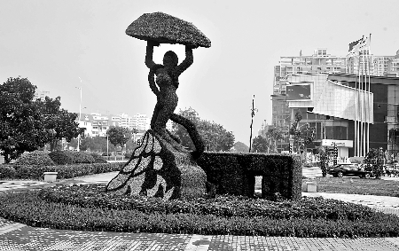 8月28日，南陽街頭繁花似錦，市民宛若行走在花海之中。