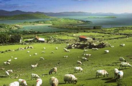 盤點(diǎn)幸福感最高的國(guó)家地區(qū) 盤點(diǎn)幸福感最高的國(guó)家地區(qū)