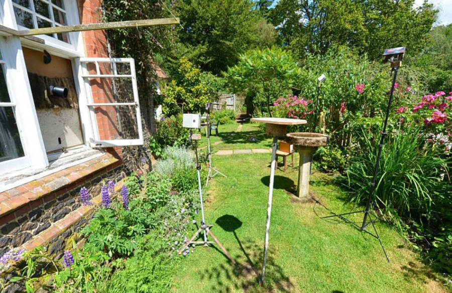 老人自制相機拍小鳥“梳洗”照 老人自制相機拍小鳥“梳洗”照