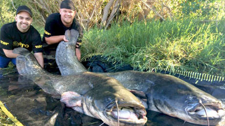 德國(guó)男子20分鐘捕獲2條巨大鲇魚(yú) 德國(guó)男子20分鐘捕獲2條巨大鲇魚(yú)