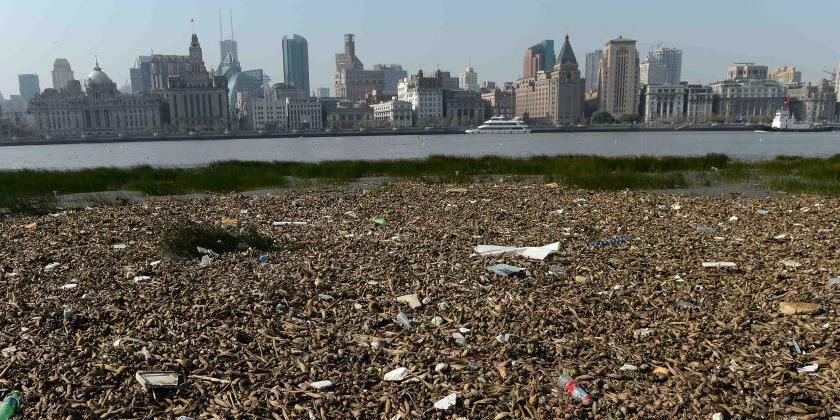 上海黃浦江灘涂現(xiàn)“垃圾帶” 上海黃浦江灘涂現(xiàn)“垃圾帶”