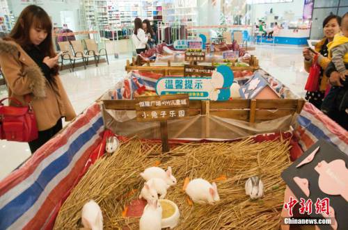 廣西多家商場(chǎng)在大廳圈養(yǎng)動(dòng)物招攬顧客