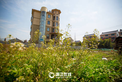 史上最壕農(nóng)居房:游泳池+觀光電梯 史上最壕農(nóng)居房:游泳池+觀光電梯