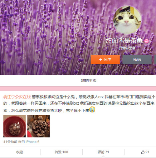 “你爸買的是街頭古董詐騙爆款” “你爸買的是街頭古董詐騙爆款”