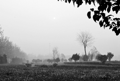 3月26日上午8點(diǎn),鄭大新校區(qū),濃濃的霧霾埋沒了大好春景。