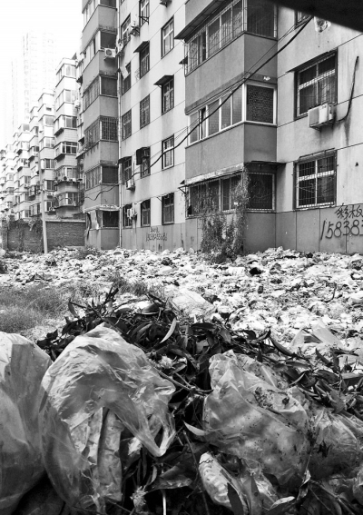 透過擋板縫向內(nèi)看，30多米垃圾已經(jīng)將居民樓包圍。