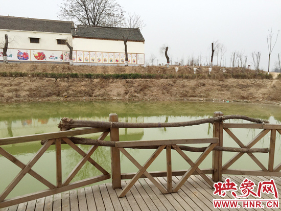 護(hù)欄損毀的地方，已經(jīng)被兩根樹干擋住。