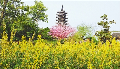 綠博園盛開的鮮花“期待”和市民“約會(huì)”。