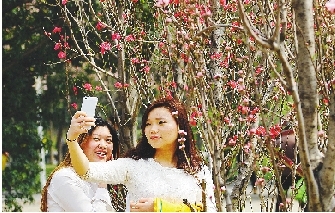 市民在公園與花合影。