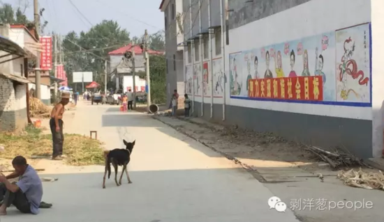 孫莊村一角。新京報(bào)記者安鐘汝 攝