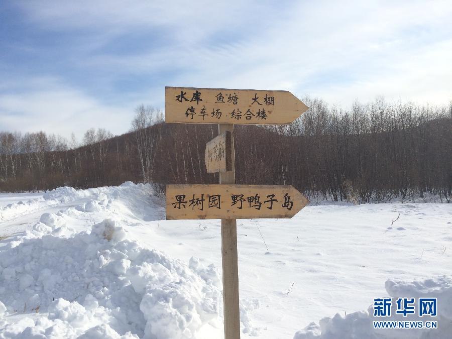 穗豐園里的標(biāo)識(shí)牌（2013年12月8日攝）。新華社記者王子辰攝