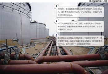 審計(jì)發(fā)現(xiàn)的部分問(wèn)題 審計(jì)發(fā)現(xiàn)的部分問(wèn)題