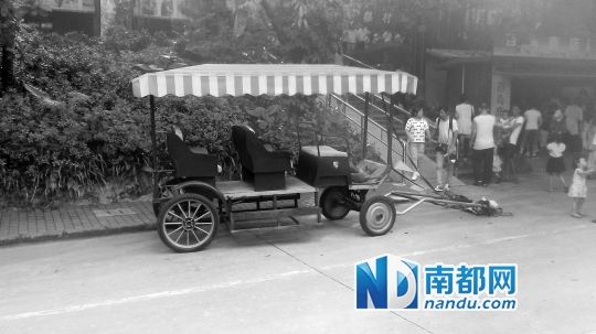 園方則稱解剖后發(fā)現(xiàn)馬死于心臟衰竭，“與累無關(guān)”。