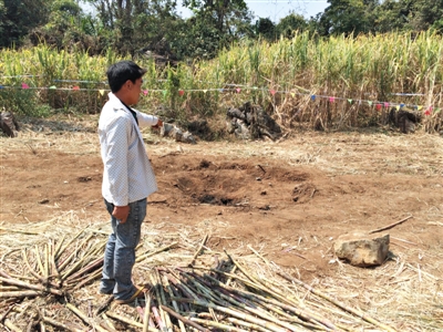 昨日，在大水桑樹村，村民向記者展示13日造成5死8傷的炸彈事件彈坑。