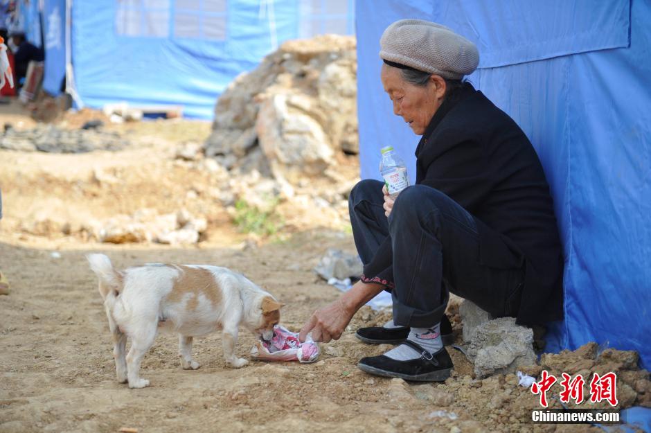 8月6日，一名老人將剛領(lǐng)到的礦泉水分給小狗。