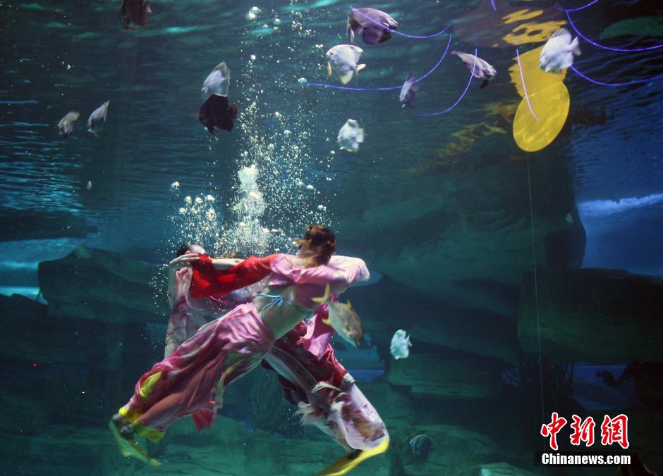 9月7日，在中秋節(jié)到來前一天，山東泉城海洋極地世界為游客帶來“嫦娥水中奔月”表演。