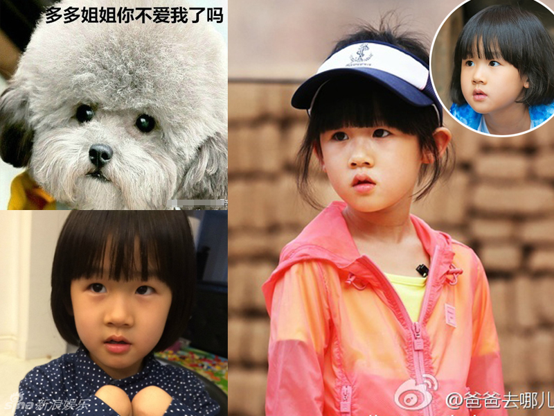 不小心就撞臉了！盤點(diǎn)動(dòng)物界的明星相