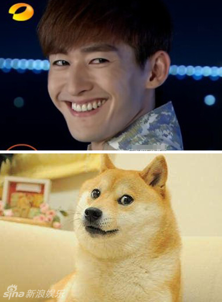 不小心就撞臉了！盤點(diǎn)動(dòng)物界的明星相