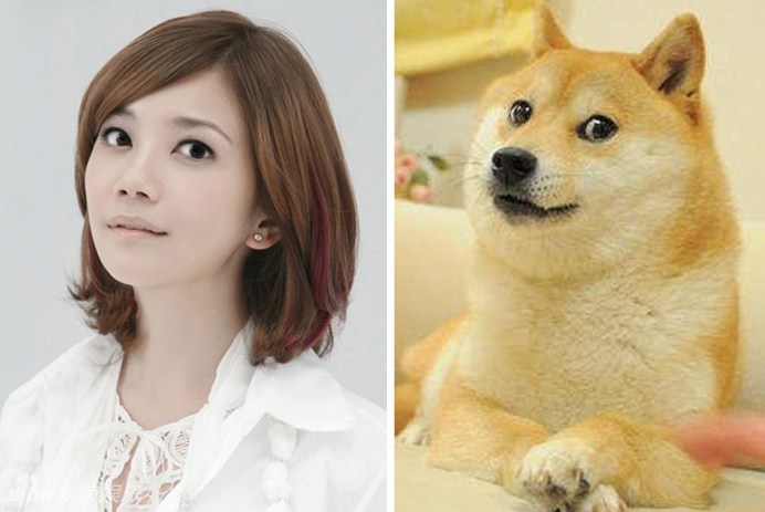 不小心就撞臉了！盤點(diǎn)動(dòng)物界的明星相