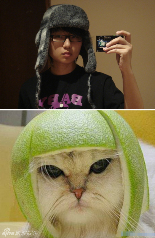 不小心就撞臉了！盤點(diǎn)動(dòng)物界的明星相