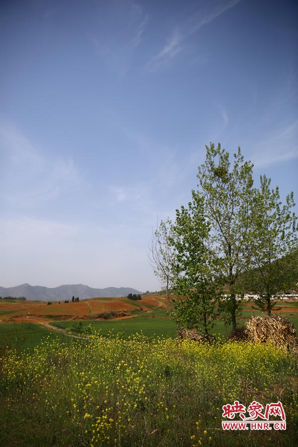 庫(kù)區(qū)的藍(lán)天、白云、綠樹、黃花給人清新的享受