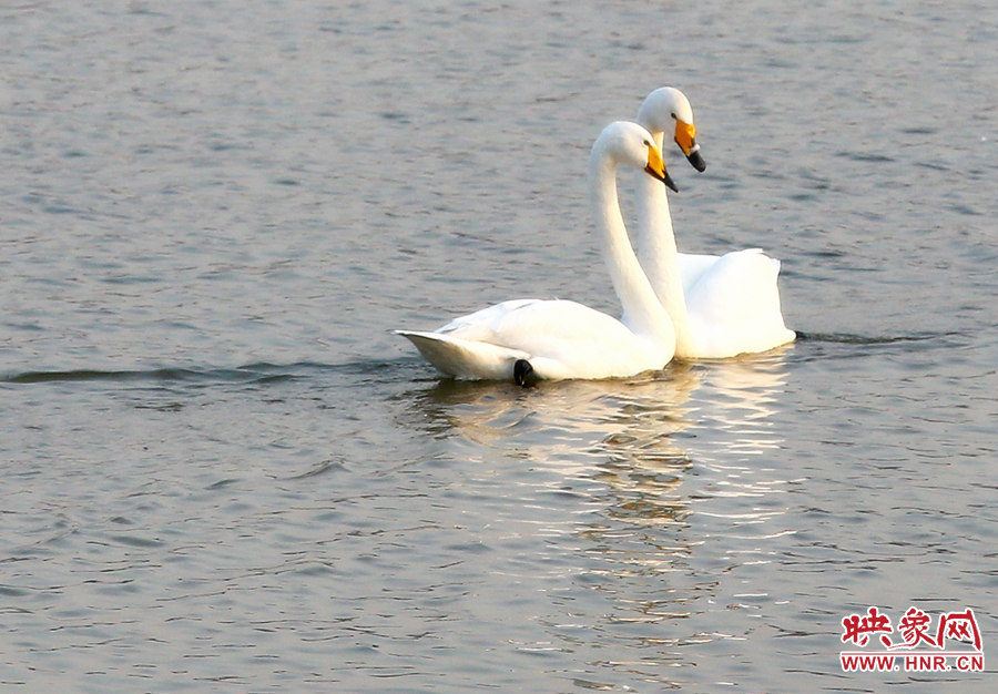 快來給我們拍一個(gè)合影 快來給我們拍一個(gè)合影