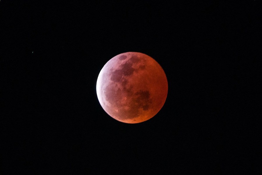 4月4日，福州上空出現(xiàn)紅月亮。楊婀娜/CFP