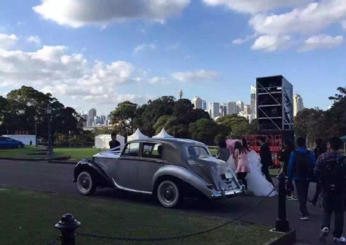 劉強(qiáng)東奶茶妹被曝悉尼拍婚紗照 劉強(qiáng)東奶茶妹被曝悉尼拍婚紗照