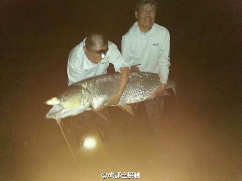 圖為大魚需要兩個(gè)人抱起。