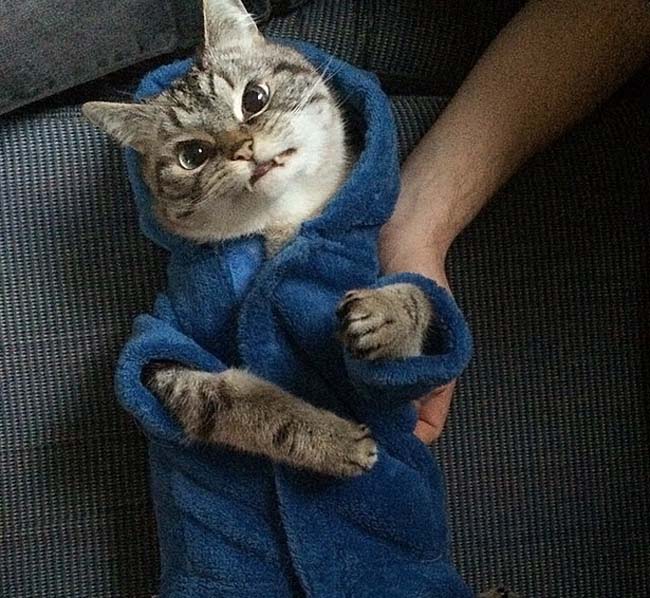 身穿浴袍的Loki好像看起來也沒那么兇哦。