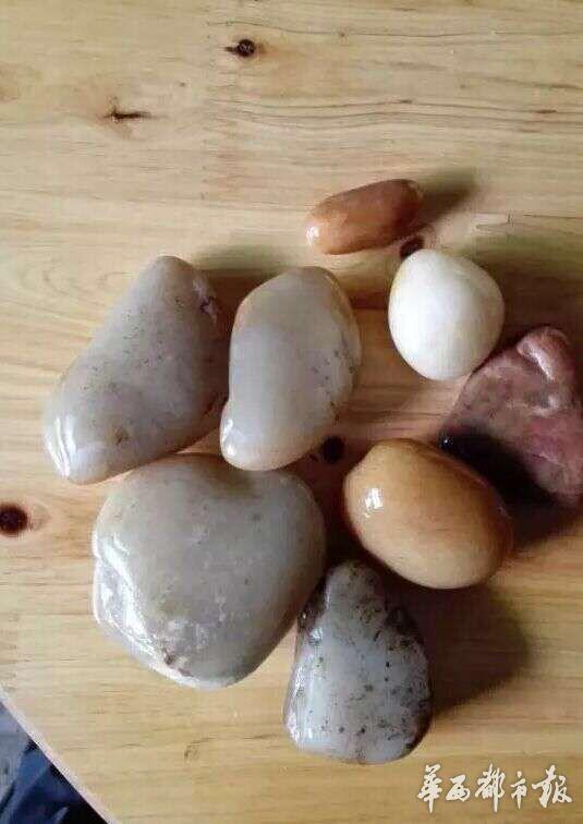 四川瀘州上演“瘋狂的石頭” 數(shù)百人河灘淘寶 四川瀘州上演“瘋狂的石頭” 數(shù)百人河灘淘寶