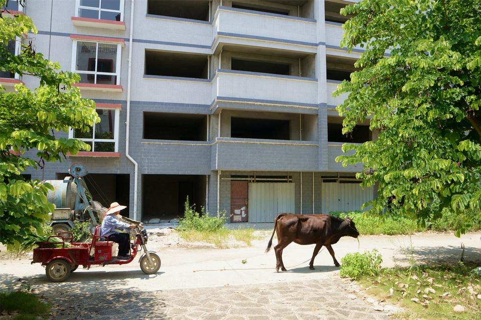 2016年7月26日，村民在廣西來賓市忻城縣隆達(dá)山水福城荒廢別墅間放牛。