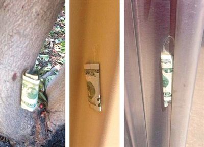 “隱藏的鈔票”會被神秘人藏在公園、廁所等“奇怪的地方”。