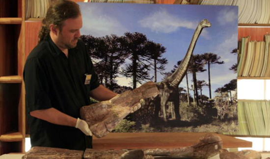 委內瑞拉發(fā)現(xiàn)罕見恐龍化石 骨關節(jié)排列結構特殊 委內瑞拉發(fā)現(xiàn)罕見恐龍化石 骨關節(jié)排列結構特殊