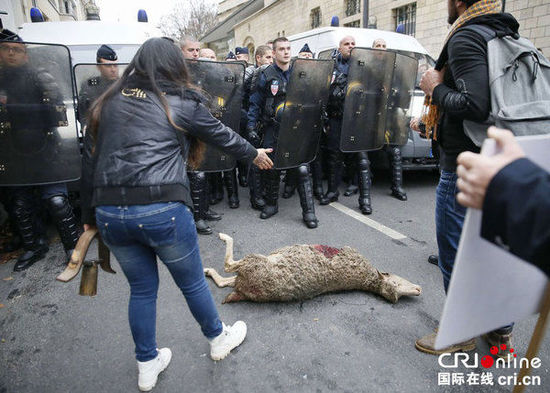 　　當?shù)貢r間2014年11月27日，法國巴黎，法國農民帶綿羊在埃菲爾鐵塔附近抗議，要求環(huán)保部門采取有效措施解決狼群襲擊羊群問題。　圖片來源：TRICK KOVARIK/CFP