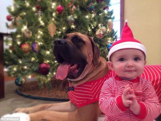 圖為美國(guó)2歲大的寵物犬與主人9個(gè)月大的女嬰。圖片來源：臉譜網(wǎng)站（Facebook）。