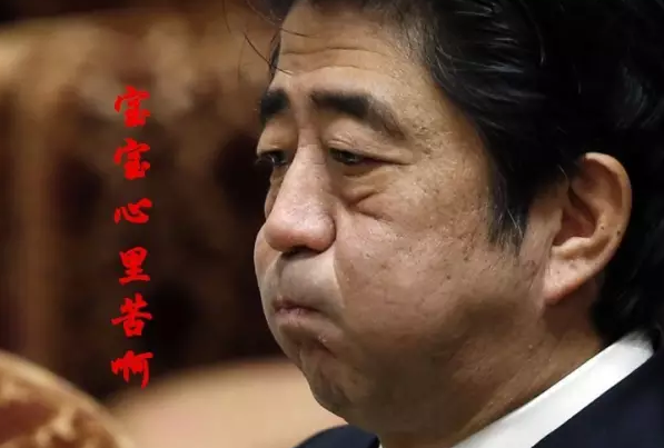 這種看安倍“熱鬧”的事兒，環(huán)環(huán)絕不私藏，一定雨露均沾!