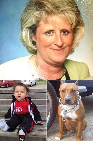 美國(guó)老太被自家狗咬死 2歲外孫目擊全過(guò)程(圖) 美國(guó)老太被自家狗咬死 2歲外孫目擊全過(guò)程(圖)