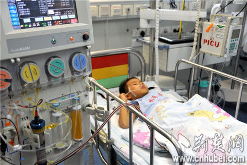 圖為:正在換血漿的丹丹還不知道姐姐已經(jīng)離開了自己 圖為:正在換血漿的丹丹還不知道姐姐已經(jīng)離開了自己