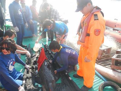 糙齒海豚誤闖漁港傷勢嚴重幸被救起(圖) 糙齒海豚誤闖漁港傷勢嚴重幸被救起(圖)