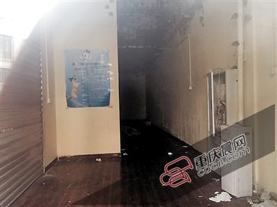 寵物店關(guān)門(mén) 我家生病的狗狗去哪兒了 寵物店關(guān)門(mén) 我家生病的狗狗去哪兒了