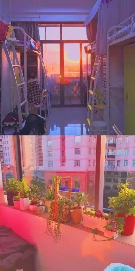 這個學(xué)校的男生宿舍火了！女同學(xué)都喊著要嫁