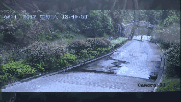 2女1男為逃票翻墻進(jìn)動物園 落地時周圍站了7只虎