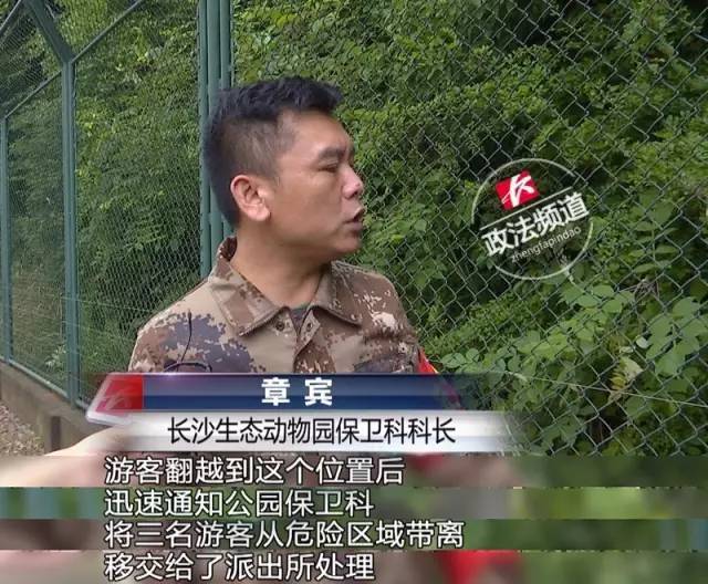 2女1男為逃票翻墻進(jìn)動物園 落地時周圍站了7只虎