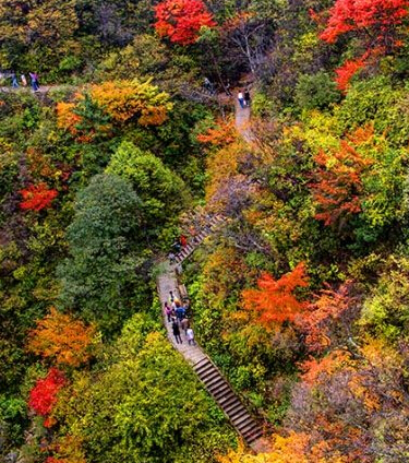 河南邀北京APEC黃金周免費暢享好空氣