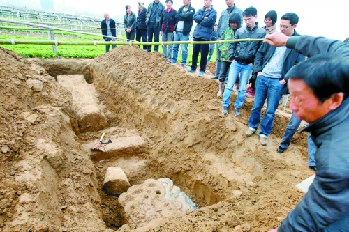 碑帽、赑屃、碑座、碑身依次排開