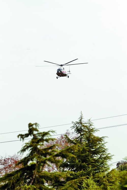輕拋一點(diǎn)入云去,利眼“鐵鷹”掠地來(lái) 輕拋一點(diǎn)入云去,利眼“鐵鷹”掠地來(lái)