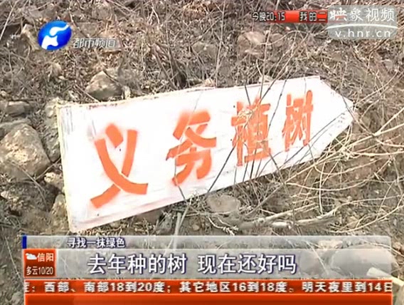 去年種的樹 現(xiàn)在還好嗎？