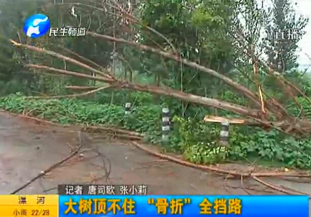 風(fēng)大：人腰粗大樹(shù)折了